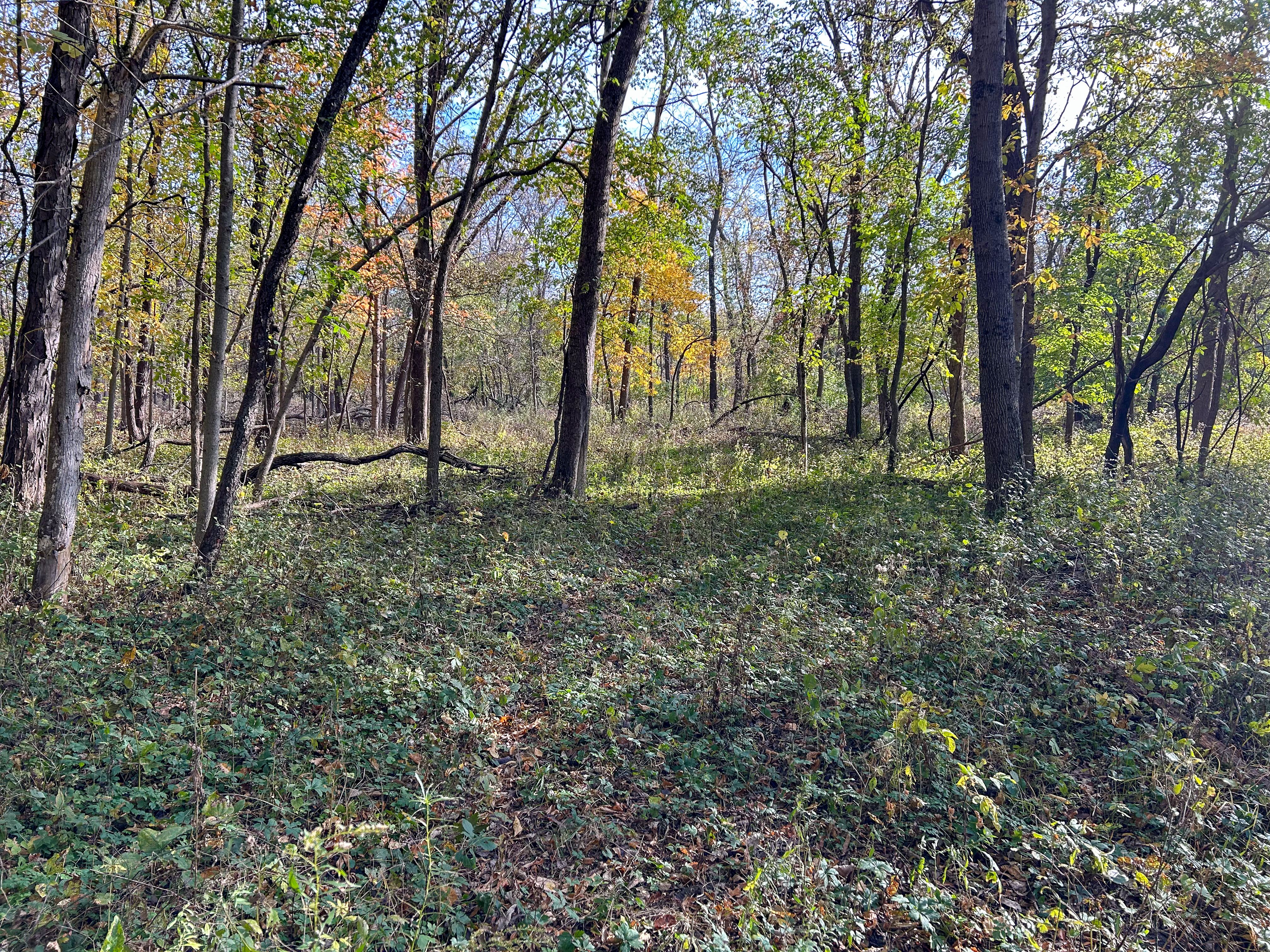 Listing Photo: IMG_3172 (1)